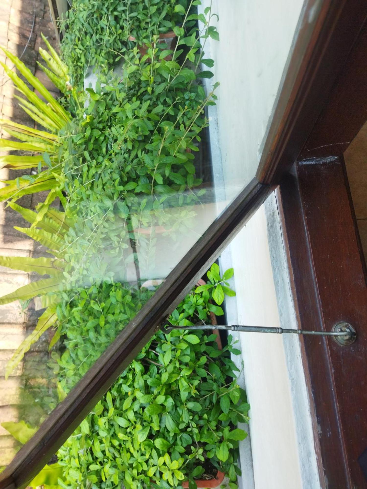 Wahwik'S House Hotell Ubud Eksteriør bilde