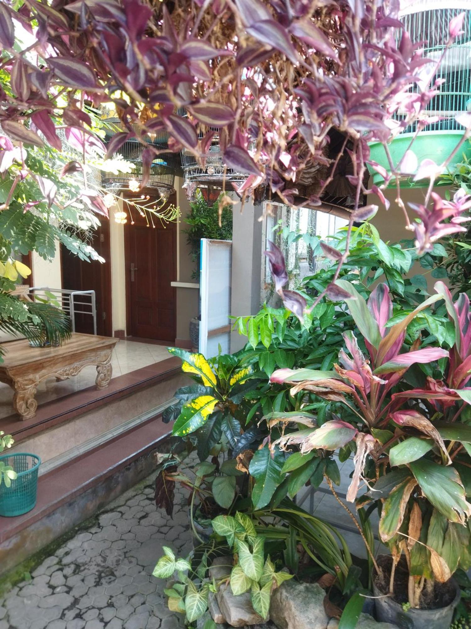 Wahwik'S House Hotell Ubud Eksteriør bilde